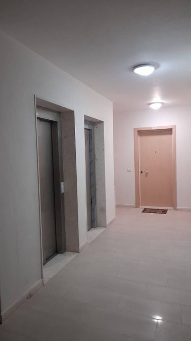 Photo 245282399
