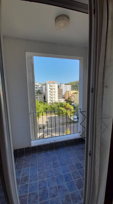 Photo 245282411