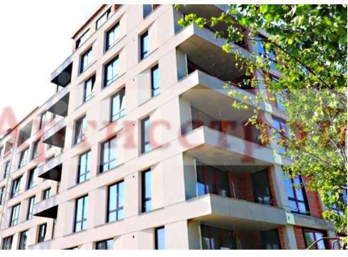 Снимка 245930474