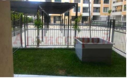 Снимка 245941328