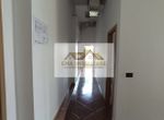 Photo 246174179