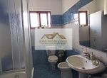 Photo 246370886