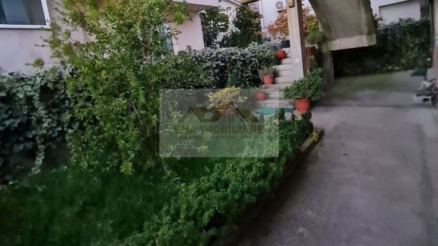 Photo 247299536