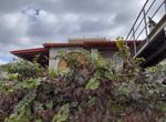 Photo 247575983