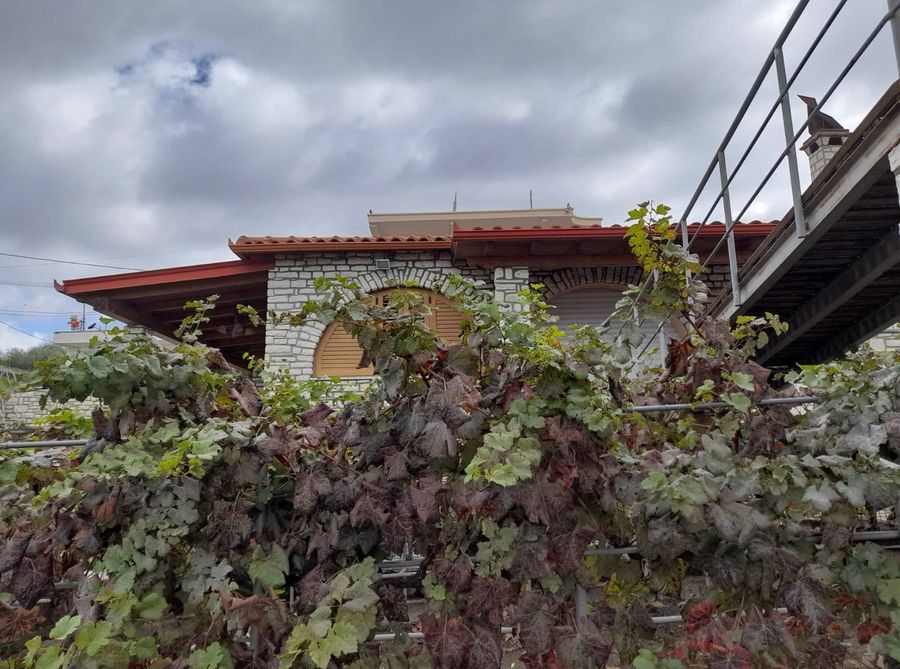 Photo 247575983