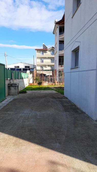 Photo 248072471