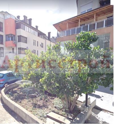 Снимка 248915792