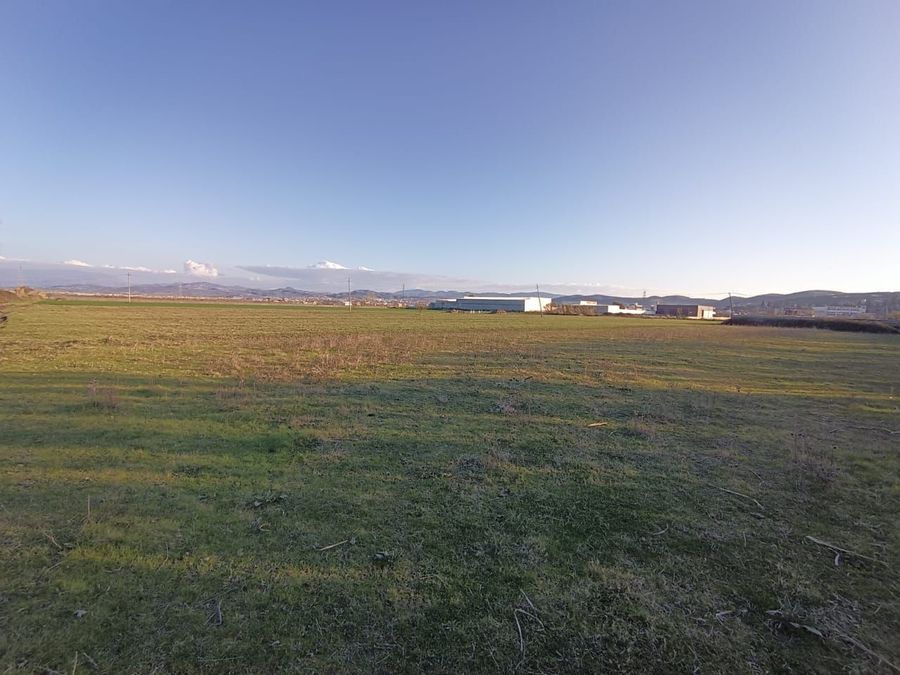 Photo 250306103