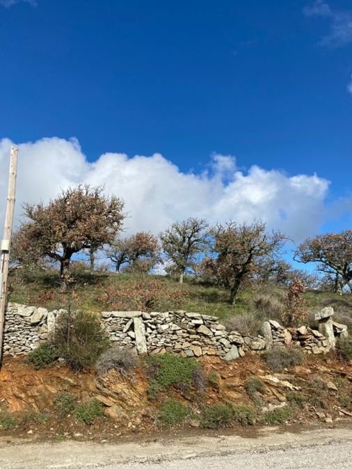 Milopotamos