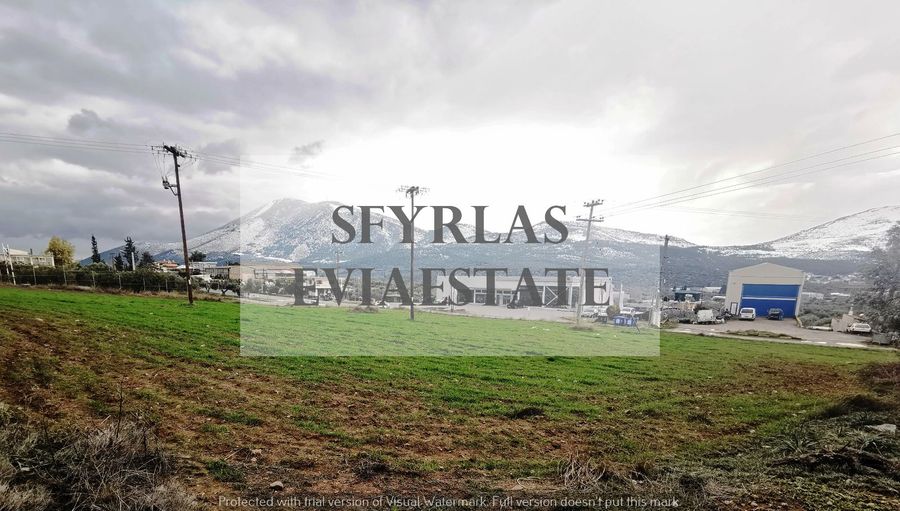 Photo 251096684
