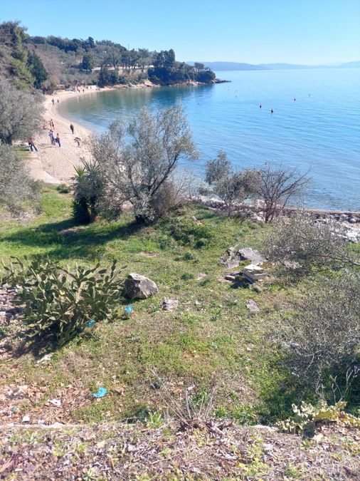 Photo 252815963