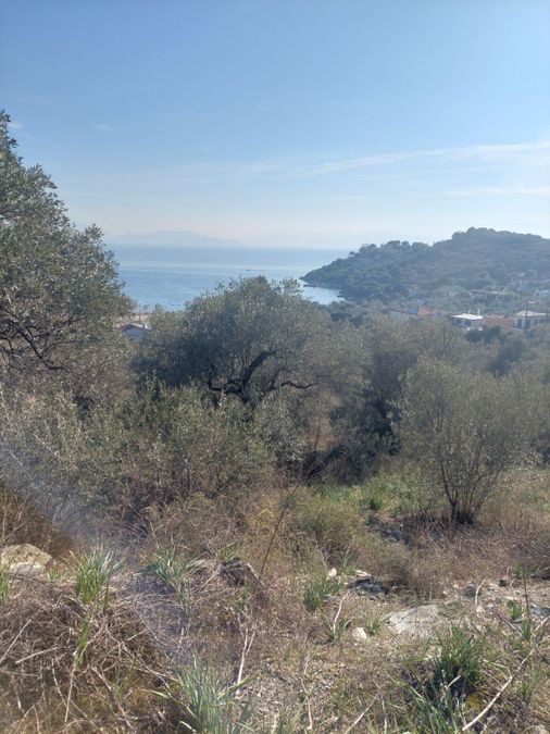 Photo 252857630