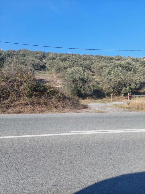 Photo 252857651