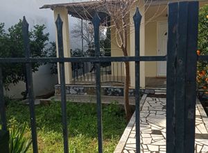 House Miladeza