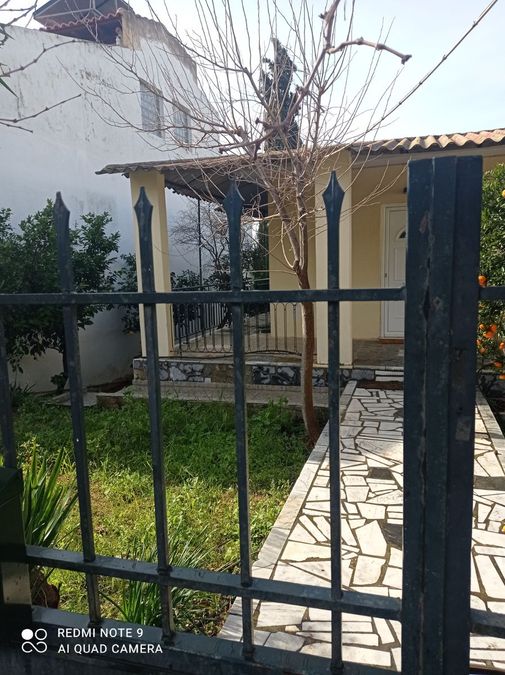 House Miladeza
