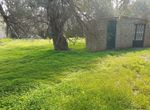Photo 255260384