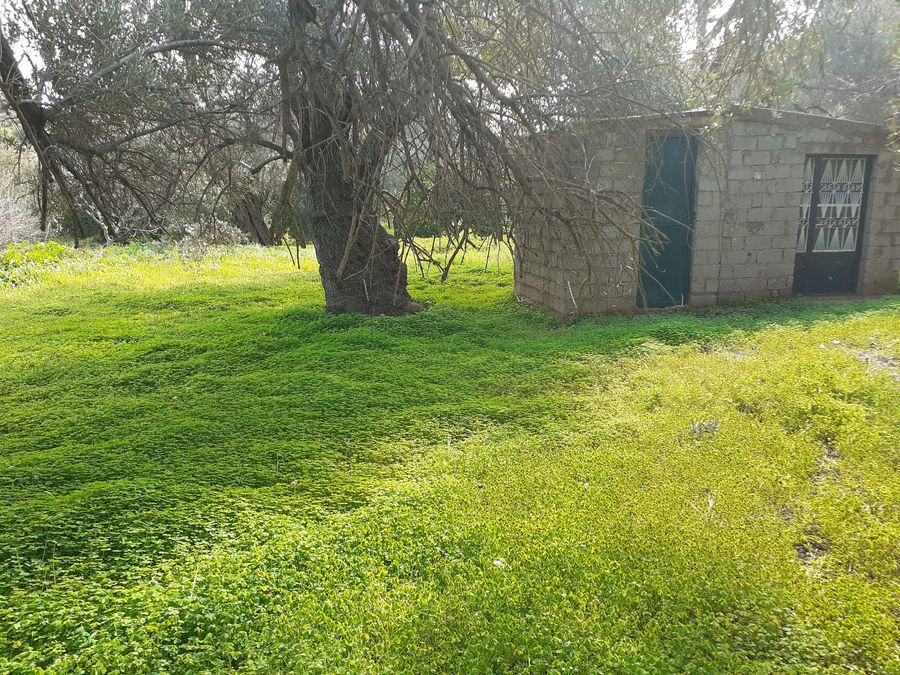 Photo 255260384