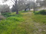 Photo 255260465