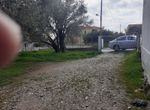 Photo 255260510