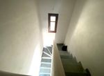 Photo 256134104