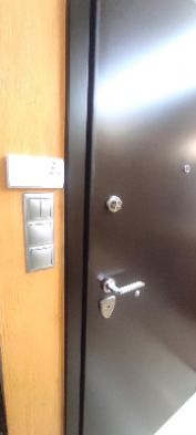 صورة فوتوغرافية 256558130