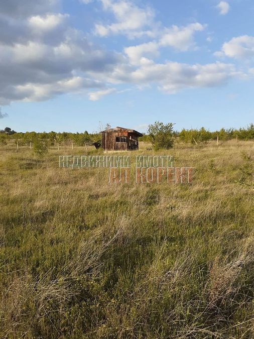 Снимка 257077220