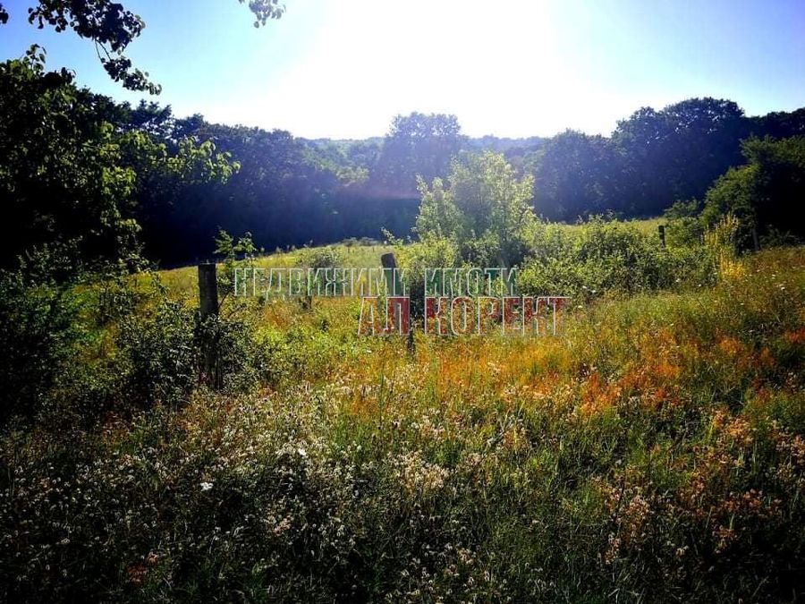 Снимка 257077223