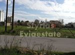 Photo 257688917