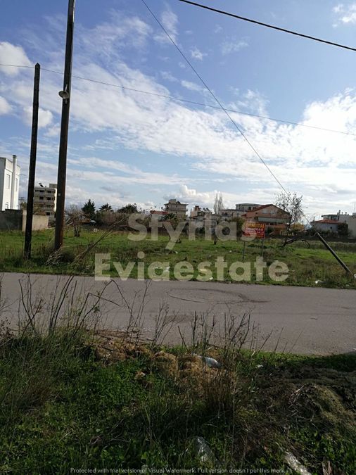 Photo 257688917