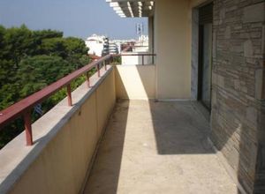 Apartment, Ntepo