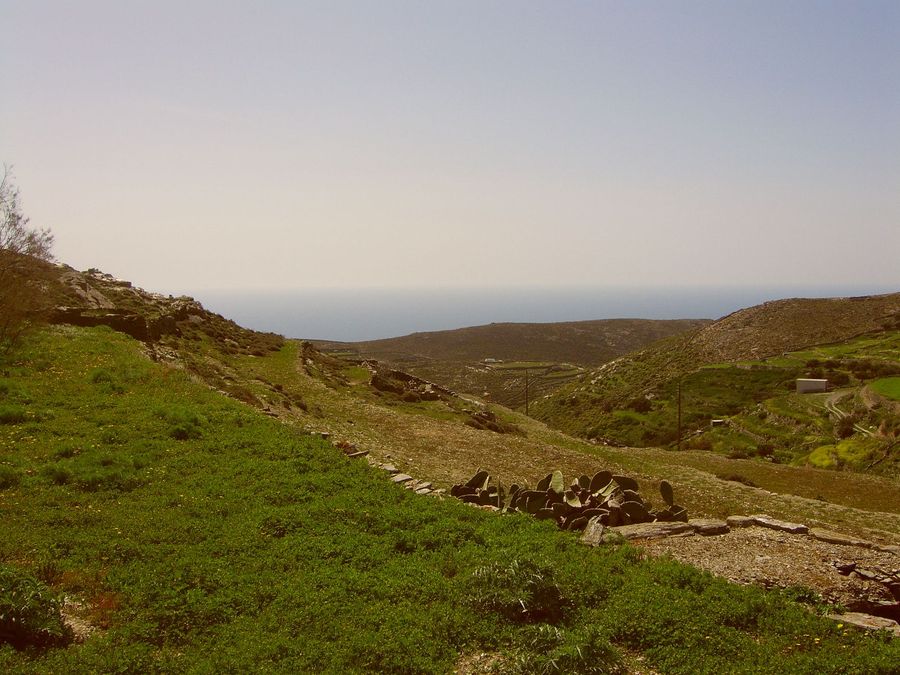 Photo 258319688
