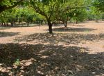 Photo 260963237