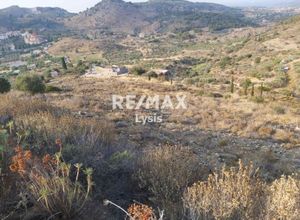 Photo 3,Οικόπεδο, 15700τ.μ.,Κοντός, Αίγινα (Νησιά Αργοσαρωνικού),€260.000