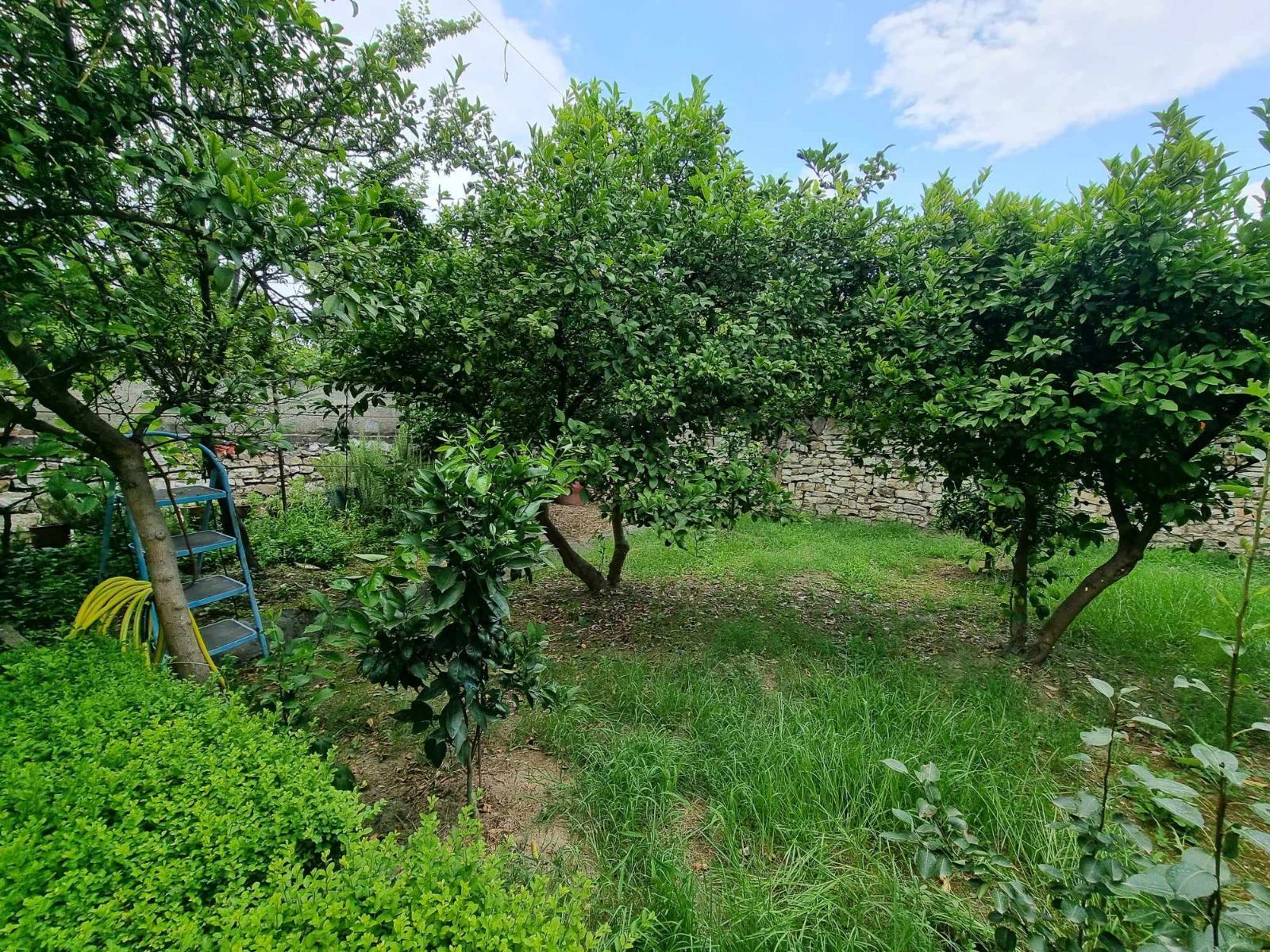 Shtëpi Private në shitje Berat - qyteti - Shitet shtepia private ne ...