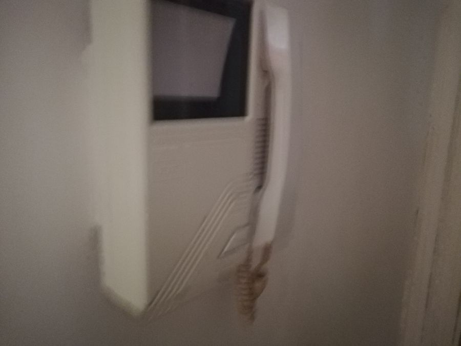 Photo 262101026