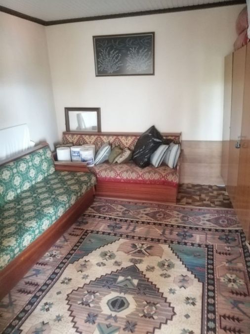 Photo 262223834