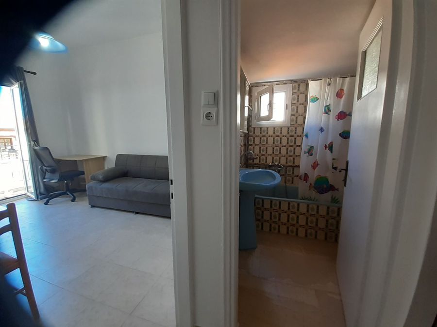 Photo 263351948