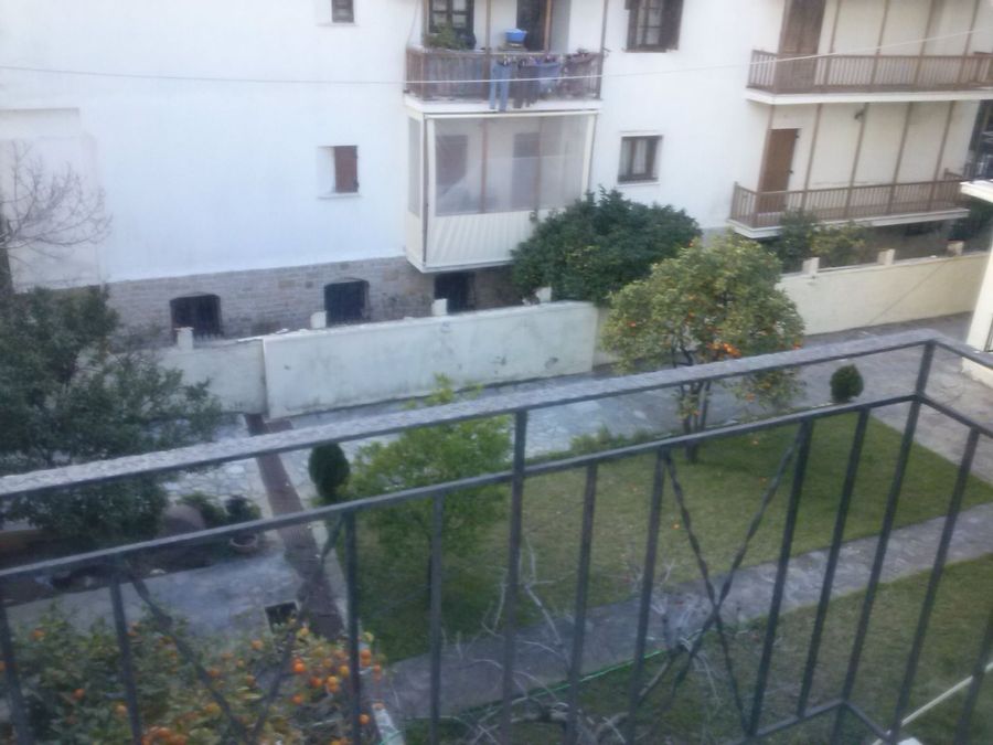 Photo 263352101