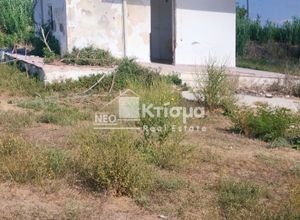 Photo 2,Μεζονέτα, 70τ.μ.,Λασταίικα, Πύργος (Ηλεία),€100.000