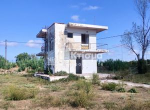 Photo 5,Μεζονέτα, 70τ.μ.,Λασταίικα, Πύργος (Ηλεία),€100.000