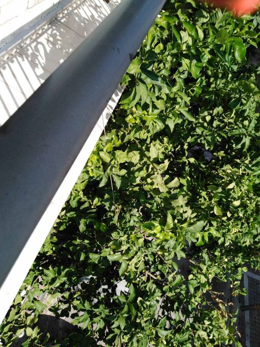 Photo 265517879