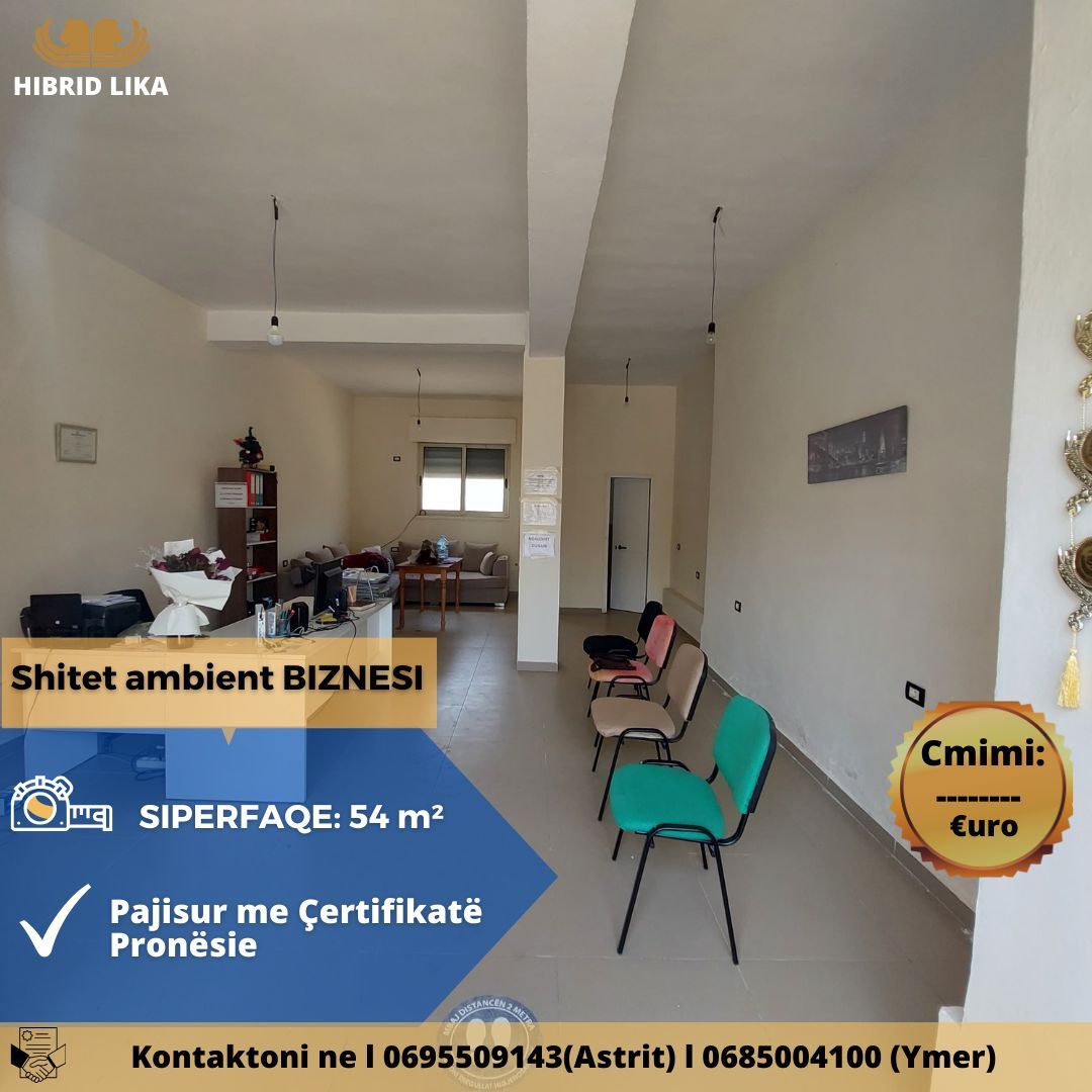 Biznes në shitje