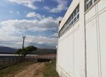 Photo 267796310