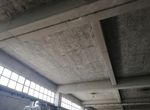 Photo 267796313