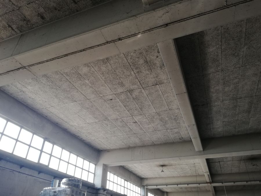 Photo 267796313