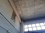 Photo 267796316