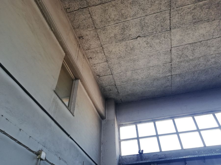 Photo 267796316
