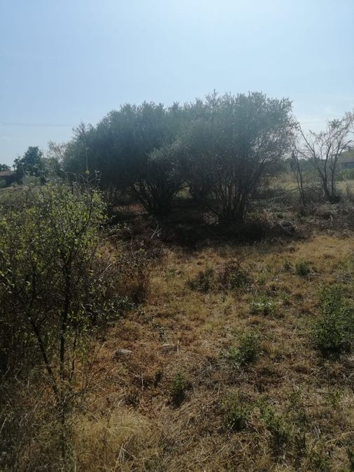 Photo 268951808