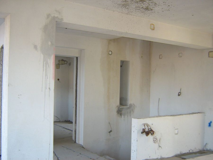 Photo 269027753