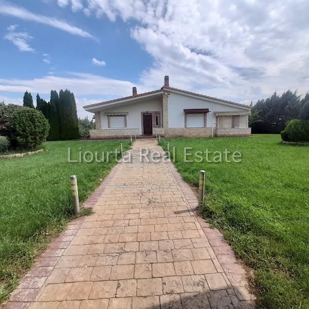 Fotografie 269672546